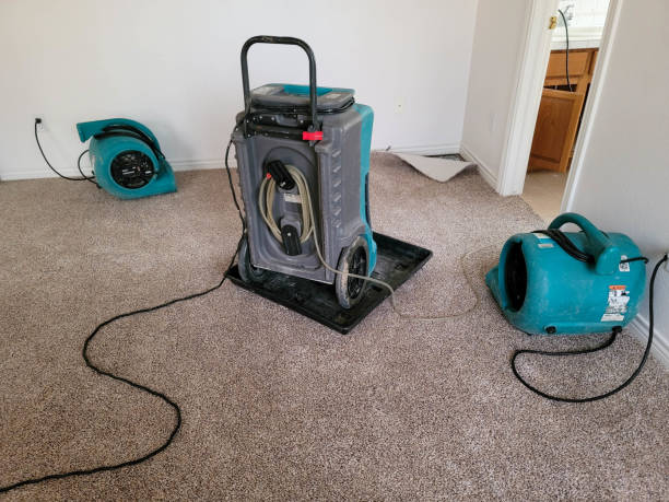  Tres Arroyos, NM Water damage restoration Pros