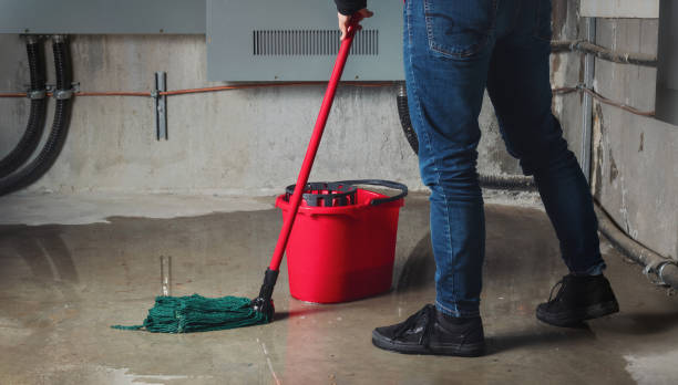 Best Sewage cleanup and water damage restoration  in Tres Arroyos, NM
