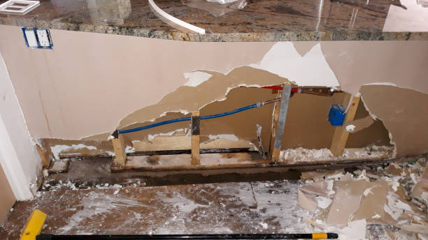 Best Fire Damage Restoration  in Tres Arroyos, NM