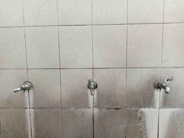 Best Mold removal after water damage  in Tres Arroyos, NM