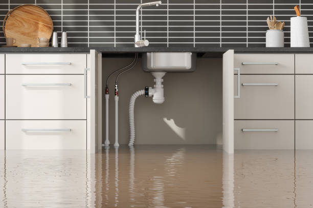 Carpet water damage restoration in NM