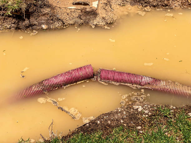 Best Flood damage cleanup  in Tres Arroyos, NM